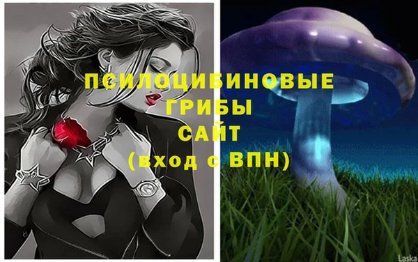 гашик Горно-Алтайск