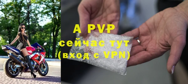гашик Горно-Алтайск