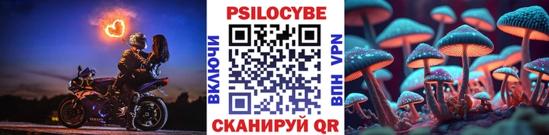 Галлюциногенные грибы Psilocybine cubensis  где найти   Новокузнецк 